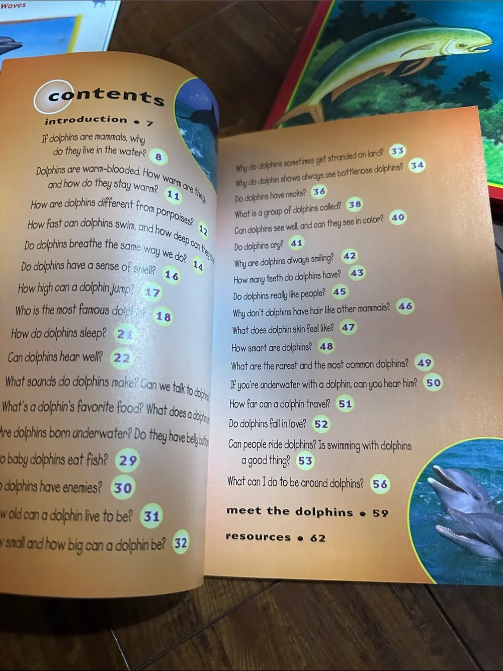 Dolphin Book Lot 3 Kids Ocean Marine Life Scholastic If a Dolphin Were a Fish